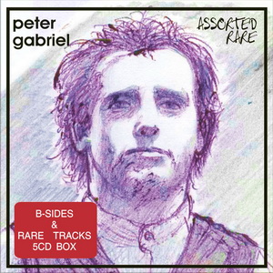 Peter Gabriel - Red Rain (Bright Lights Remix)
